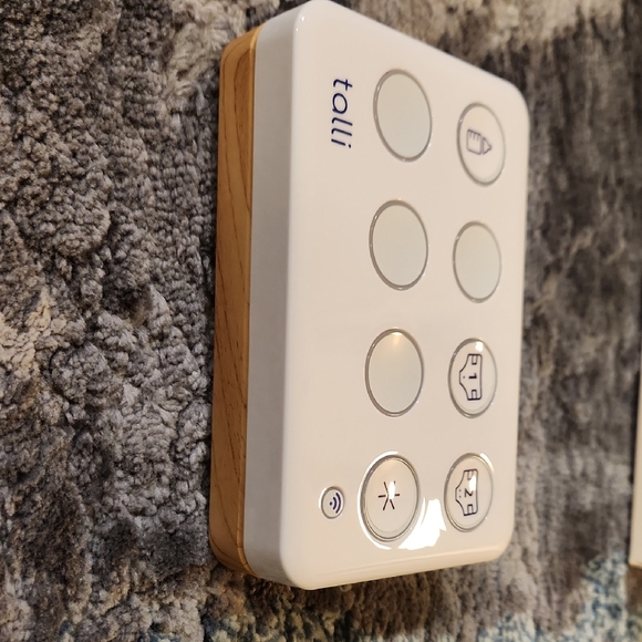 Talli One-Touch Logger - Picture 3 of 3